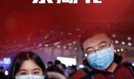 湖北最新爆料新闻视频,揭秘XX事件背后真相